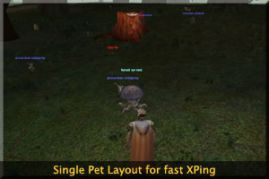 Animist with a single pet