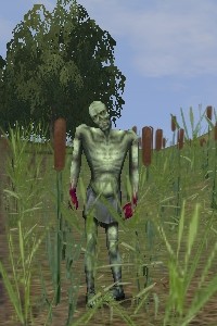Minor Zombie Servant