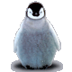 21430_Baby Penguin