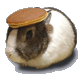 7979_Pancake Bunny